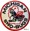 mecosta_sno_bugs.png (1060327 bytes)