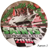 saginaw_saints_2015.png (178737 bytes)